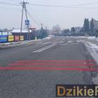 Fotka nr 3 z 6