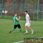 zdjęcie nr 55