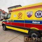 Fotka nr 2 z 3