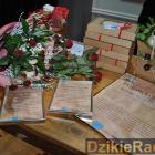 zdjęcie nr 227