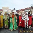 zdjęcie nr 444
