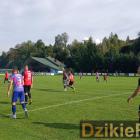 zdjęcie nr 19
