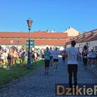 zdjęcie nr 20