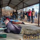 zdjęcie nr 22