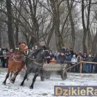 zdjęcie nr 113