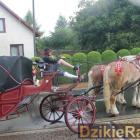 zdjęcie nr 218