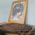 zdjęcie nr 32