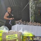 zdjęcie nr 25