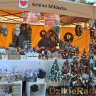 Fot. Dzikieradio