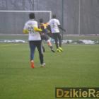 zdjęcie nr 33