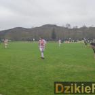 zdjęcie nr 31