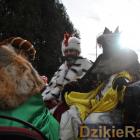 zdjęcie nr 279