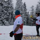 zdjęcie nr 37