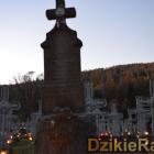 zdjęcie nr 53
