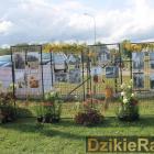zdjęcie nr 186