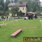 zdjęcie nr 102