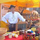 zdjęcie nr 12