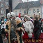zdjęcie nr 30
