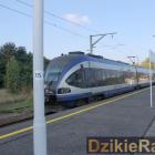 Fotka nr 3 z 12