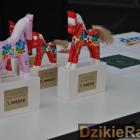 zdjęcie nr 18