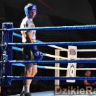 zdjęcie nr 171
