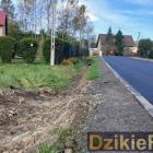 Fotka nr 4 z 13