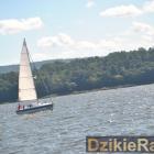 zdjęcie nr 53