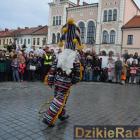 zdjęcie nr 231