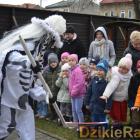 zdjęcie nr 61