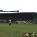zdjęcie nr 12