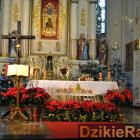 zdjęcie nr 37