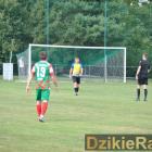 zdjęcie nr 31