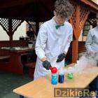 Fotka nr 2 z 25
