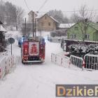 Fotka nr 2 z 3