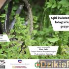 Fotka nr 0 z 1