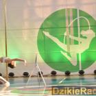 zdjęcie nr 100