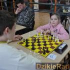 zdjęcie nr 43