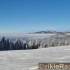 zdjęcie nr 21