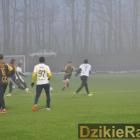 zdjęcie nr 13