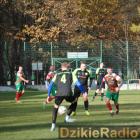 zdjęcie nr 41