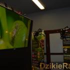 zdjęcie nr 22