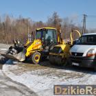 Fot. DzikieRadio®