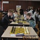 Fotka nr 3 z 135