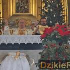 zdjęcie nr 210