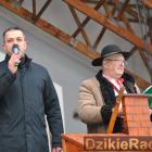 zdjęcie nr 139