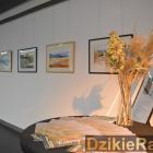 zdjęcie nr 9