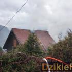 zdjęcie nr 15