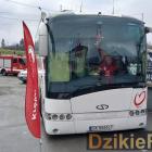 zdjęcie nr 11