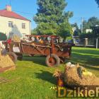 zdjęcie nr 49