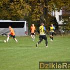 zdjęcie nr 35